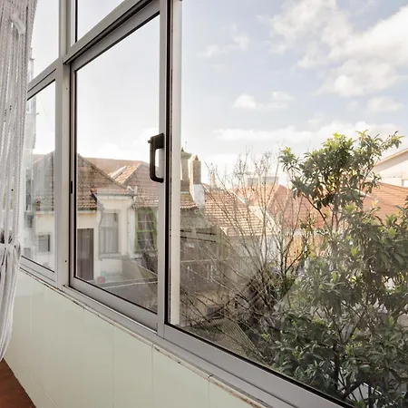 ! Bright 2br Hammock Flat ! Praca Da Republica